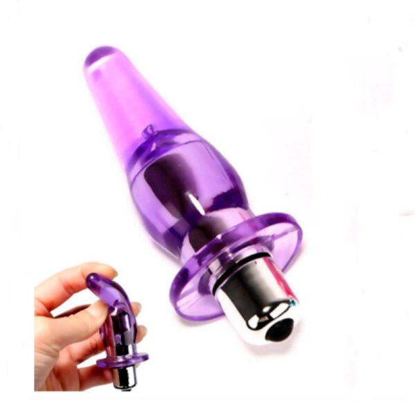 Plug Anal  con vibrador